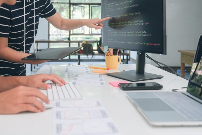 The web development process