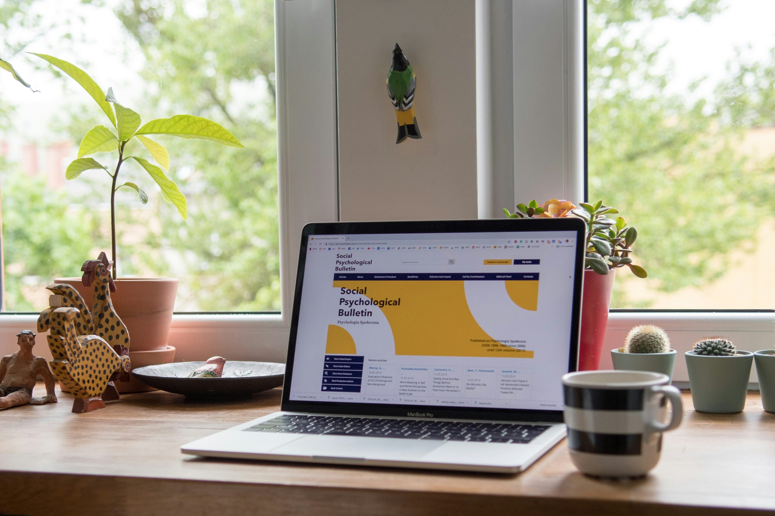 Website development